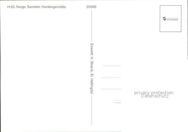 Sameleir Norwegen Hardangervidda – Bild 2