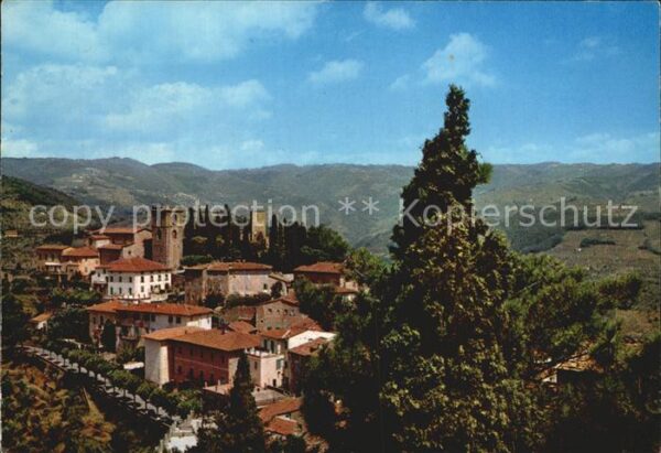 Montecatini Alto Panorama