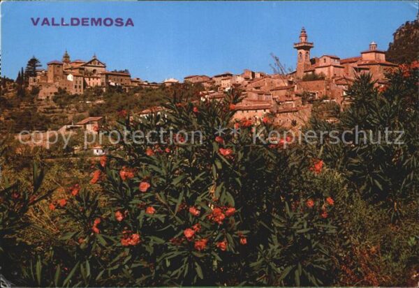Valldemosa Panorama