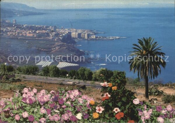 Puerto de la Cruz Panorama