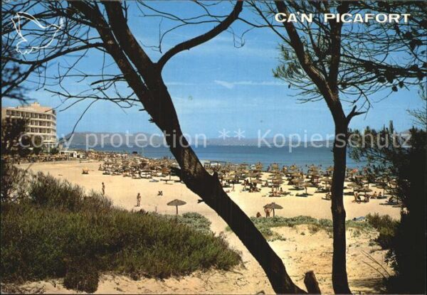 Can Picafort Mallorca Strand