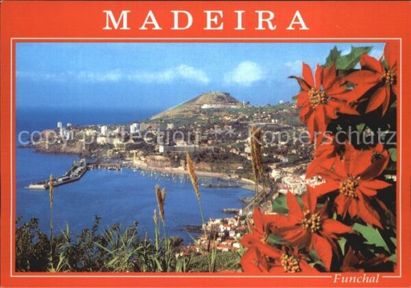 Funchal Panorama