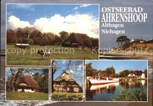 Ahrenshoop Ostseebad Hafen Strand Steilküste