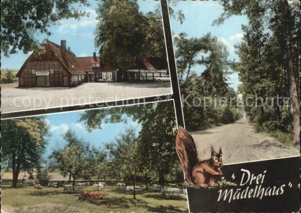 Kirchseelte Drei Mädelhaus