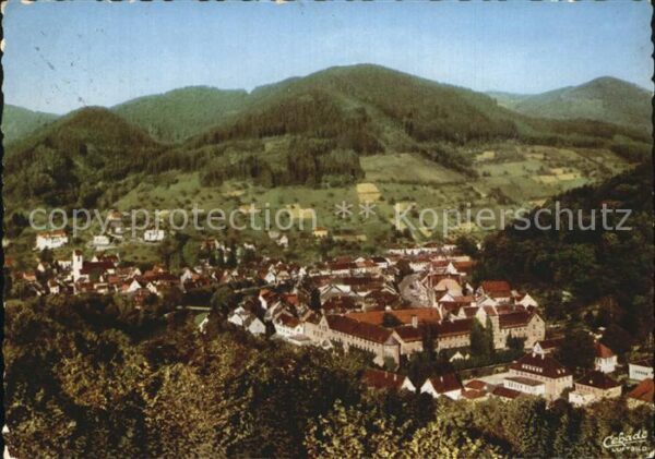 Wolfach Teilansicht