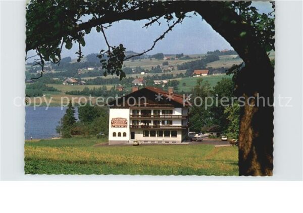Zell Moos Hotel Pöllmann