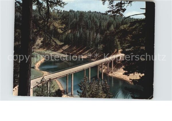 Sila Calabria Brücke Cecita See