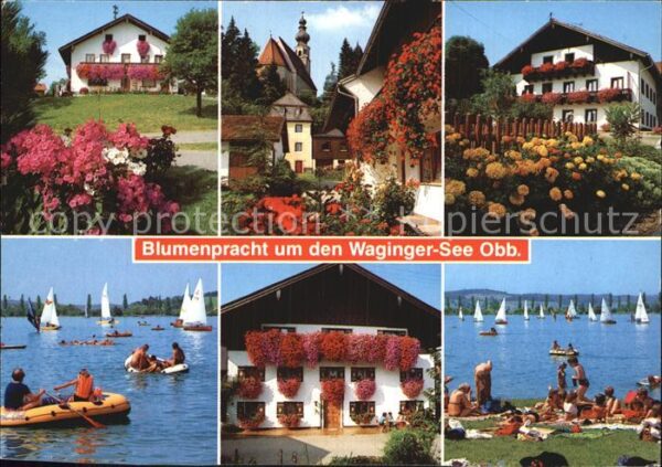 Waging See Blumen Ortsmotive Waginger See Segelboo