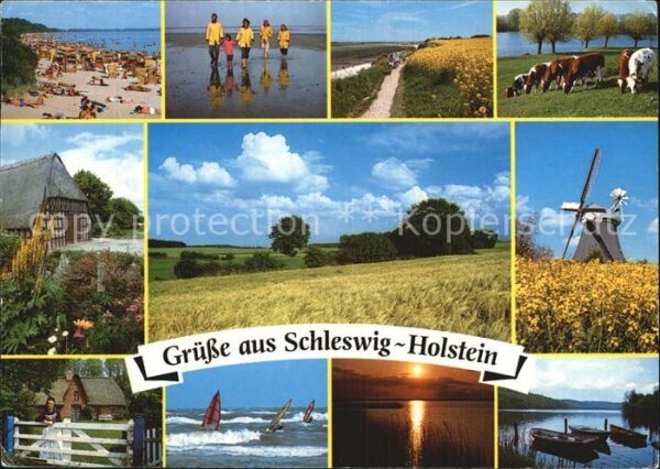 Schleswig Holstein Strand Wattwanderung Viehweide Bauernha