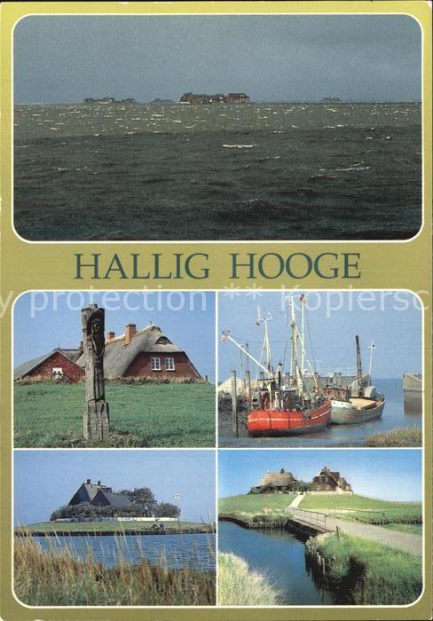 Hallig Hooge Sturmflut Hallighaus Teilansichten Fisc