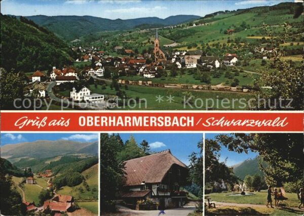 Oberharmersbach Panorama Teilansicht Schwarzwaldhaus Pa
