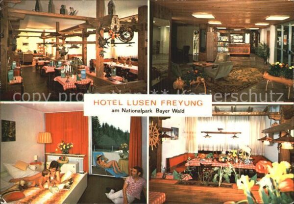 Geyersberg Wald Hotel Lusen Gastraum Foyer Zimmer