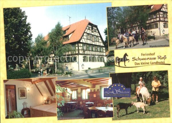 Steinsfeld Ferienhof Schwarzes Ross Landhotel Zimm