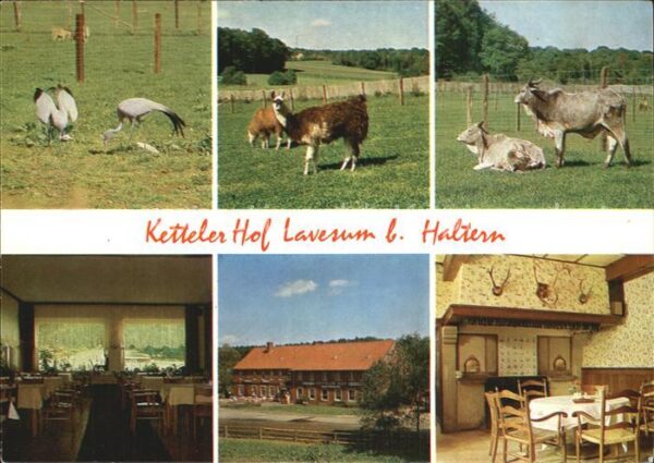 Lavesum Wildpark mit Restaurant Ketteler Hof