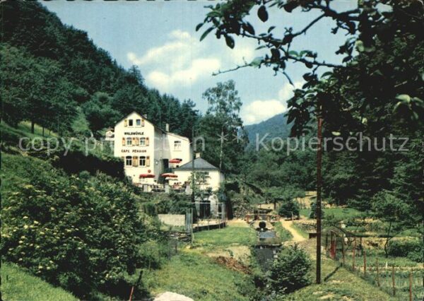 Dausenau Cafe Pension Waldmühle