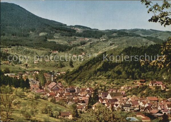 Oppenau Panorama