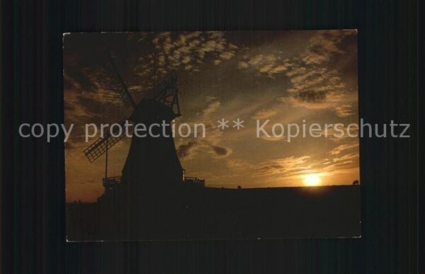 Pellworm Nordermühle im Abendlicht
