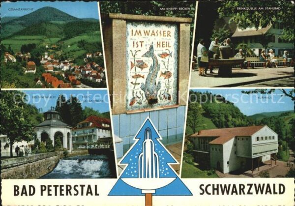 Bad Peterstal-Griesbach Panorama Trinkquelle Stahlbad Brunnenha