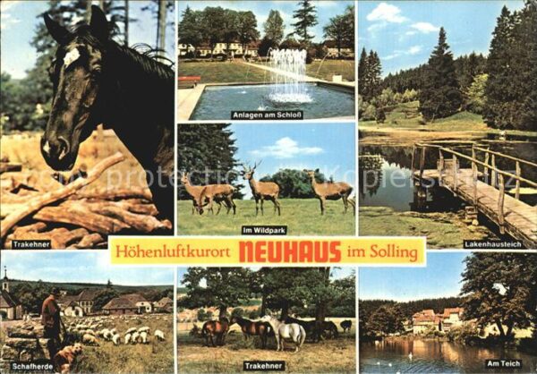 Neuhaus Solling Trakehner Schlossanlagen Wlldpark Laken