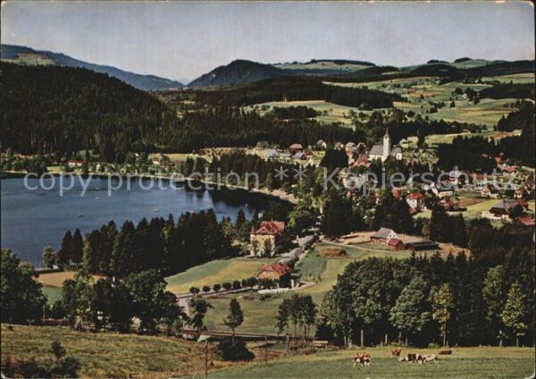 Titisee Panorama