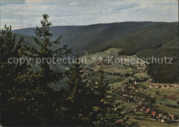 Tonbach Panorama