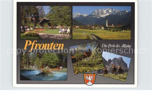 Pfronten Park Panorama Weiher Büffel