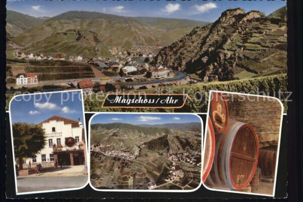 Mayschoss Panorama  Winzerkeller Weinfässer