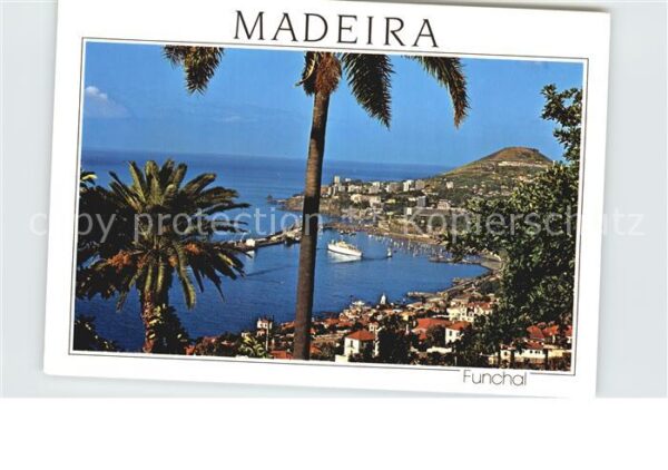 Madeira Portugal Funchal