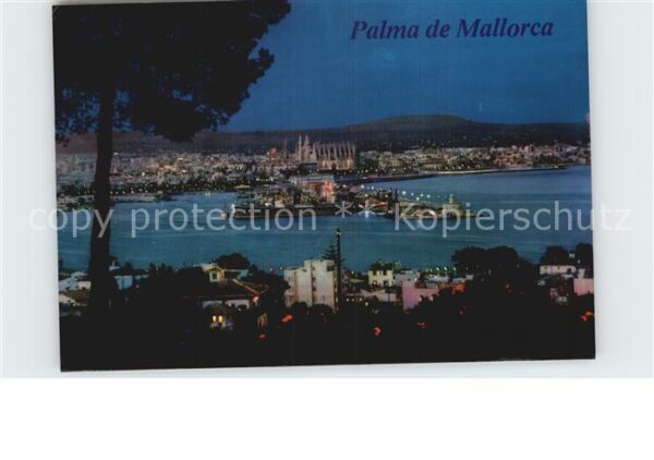Palma de Mallorca Panorama Nachtaufnahme