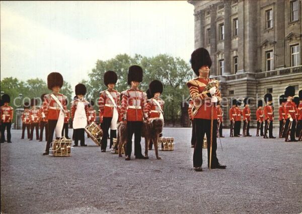 Leibgarde Wache The Corps of Drums 1st Battalion Irish