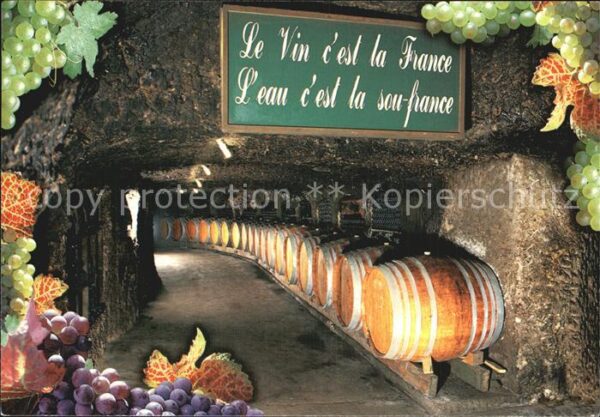 Wein Caves Angelliaume