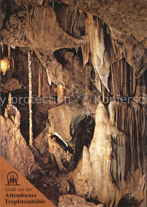 Hoehlen Caves Grottes Attendorn Tropfsteinhöhle Eisbär Lange