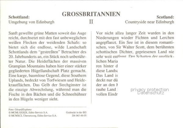 Schafe Schottland Umgebung von Edinburgh – Bild 2