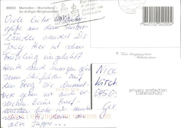 Murmeltier Marmottes – Bild 2