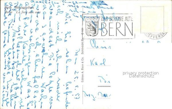 Baeren Bern Bärengraben – Bild 2