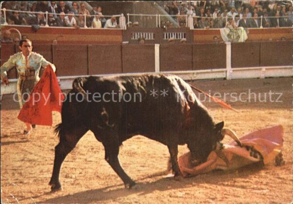 Stierkampf Corrida de Toros Cogida