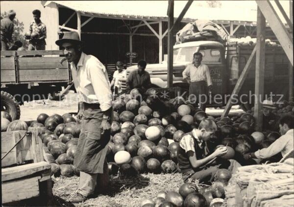 Obst Melonen Istanbul