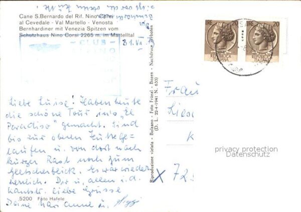 Bernhardiner Cane S. Bernardo Rifugio Nino Corsi Val – Bild 2
