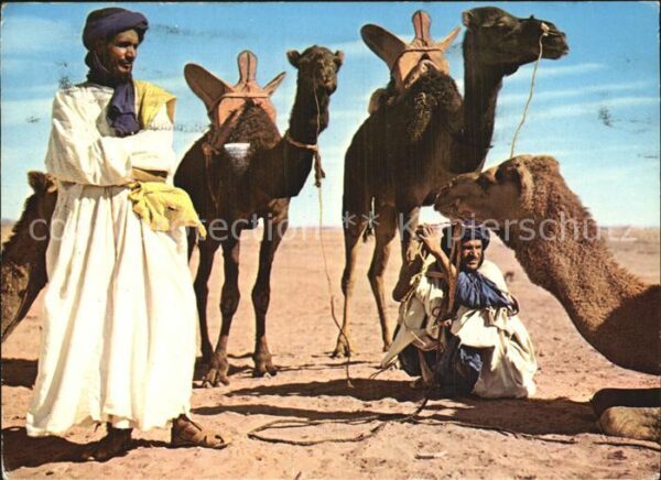 Kamel  Camel Chameau Scenes et Types du Maroc Hommes bleus M