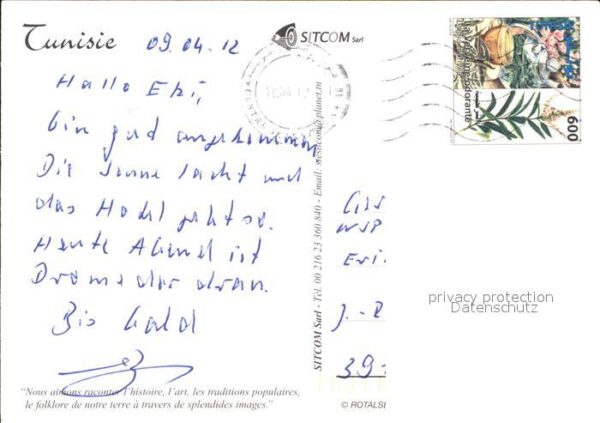 Kamel  Camel Chameau Tunisie Tunesien – Bild 2