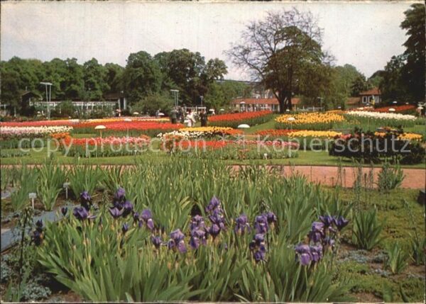 Hamburg Ausstellungspark Planten un Blomen Iris