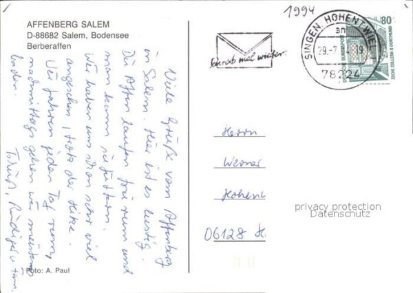 Affen Affenberg Salem Berberaffen – Bild 2