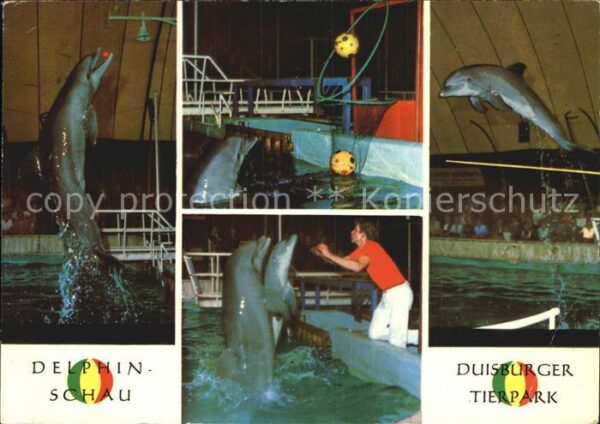 Delfine Delphine Dolphins Dauphins Delfi Delphinschau Tierpark Duisburg