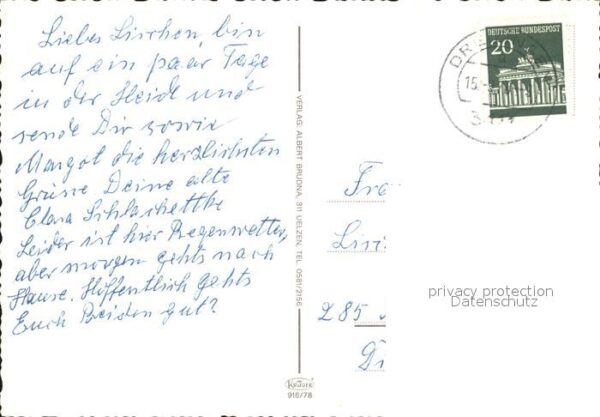 Schafe Lüneburger Heide – Bild 2