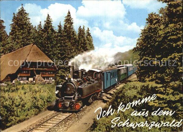Lokomotive Schwarzwald Schwarzwaldhaus
