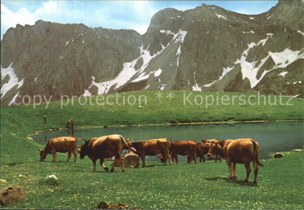 Kuehe Bielsa Circo de Barrosa Pirineo Aragone