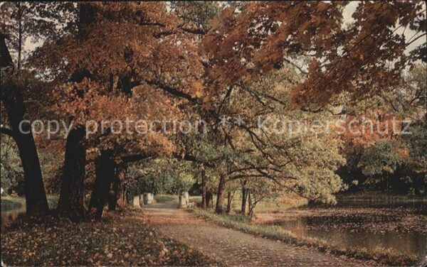 Puschkin Allee