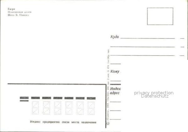 Gagra Platanowaja Allee – Bild 2