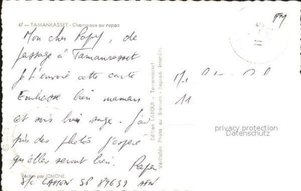 Tamanrasset Chameaux au repos Kamele – Bild 2