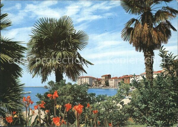 Porec Uferpromenade Palmen